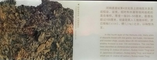 图片4.png 游艇会(中文)官方网站